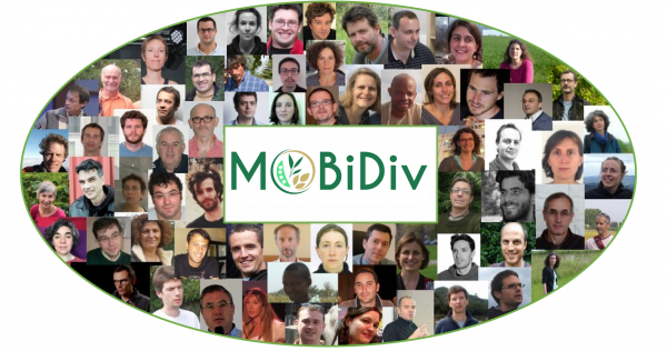 Team MoBiDiv